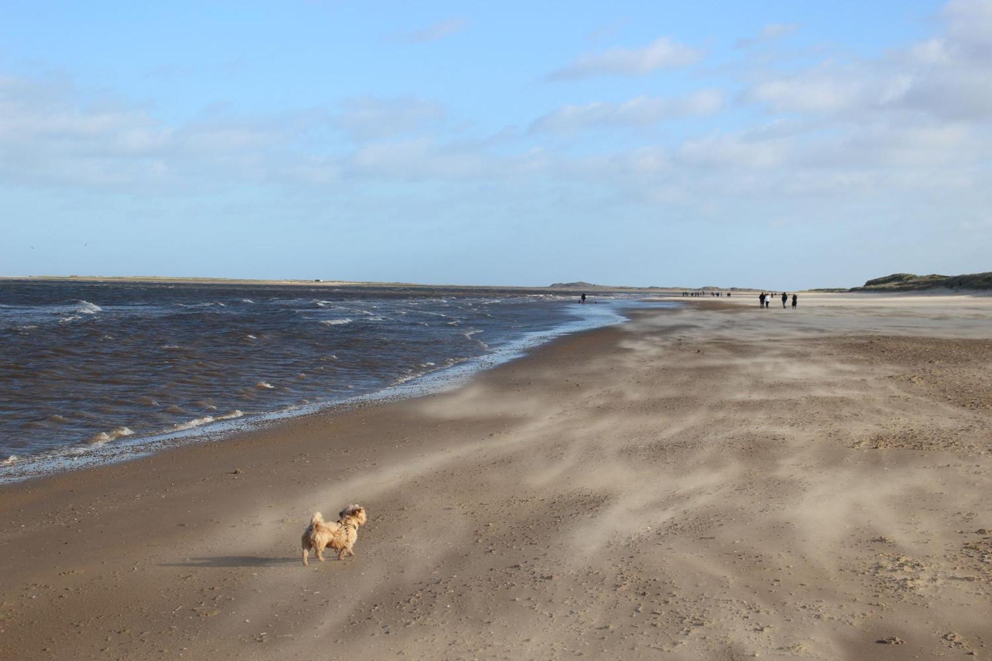 Mill House Cottage Brancaster Zewnętrze zdjęcie